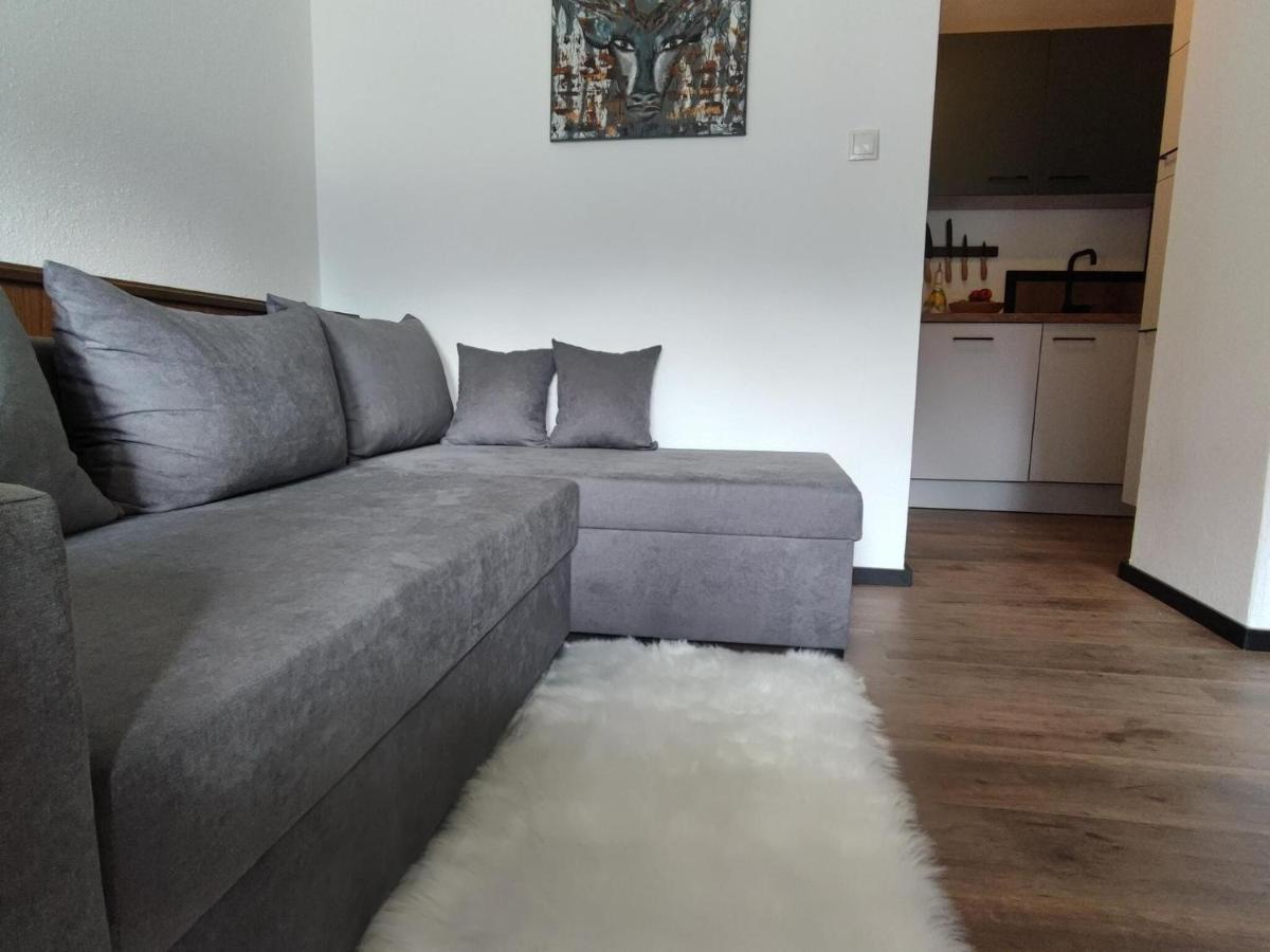 Great Near The Area Apartment